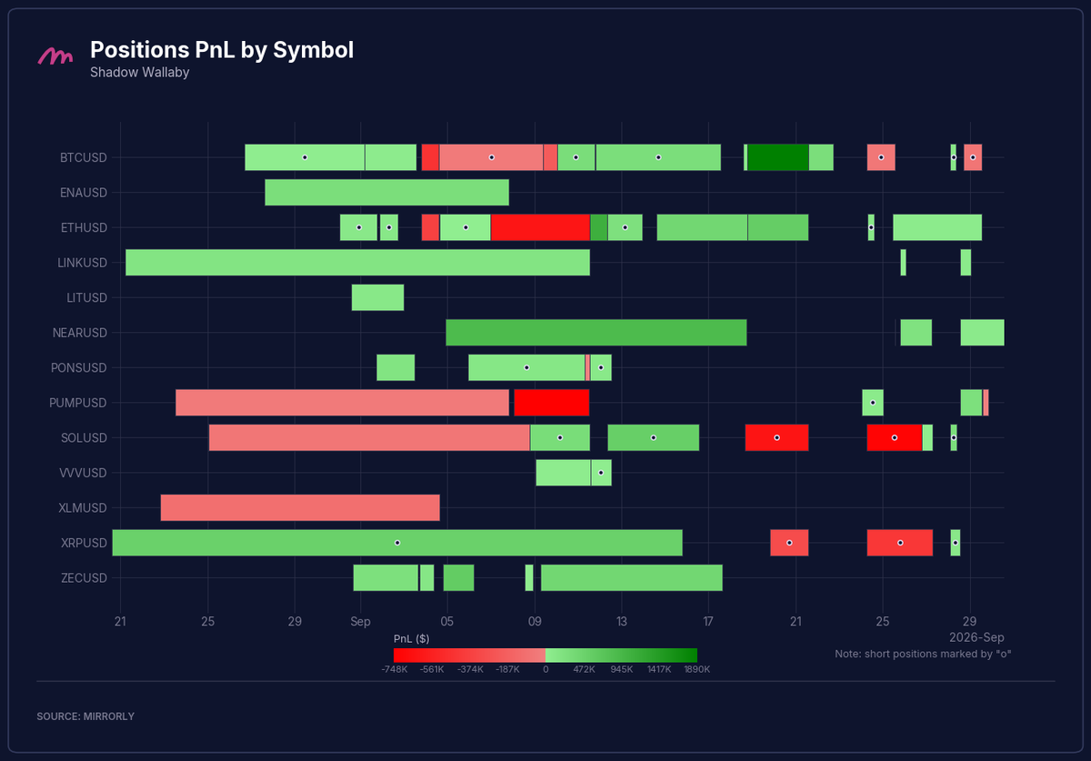 Shadow Wallaby Positions PnL by Symbol