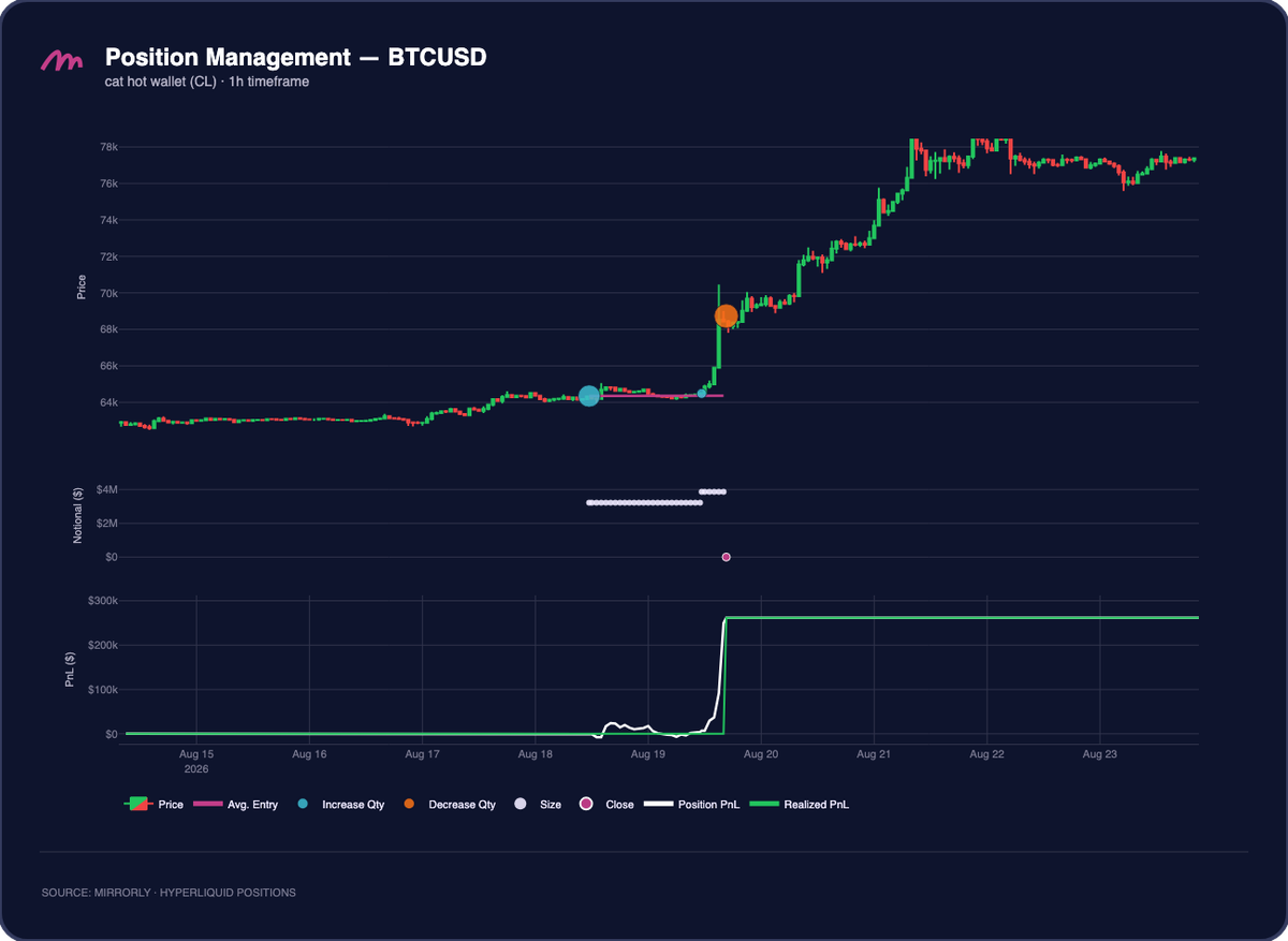 cat hot wallet (CL) BTCUSD Position Management