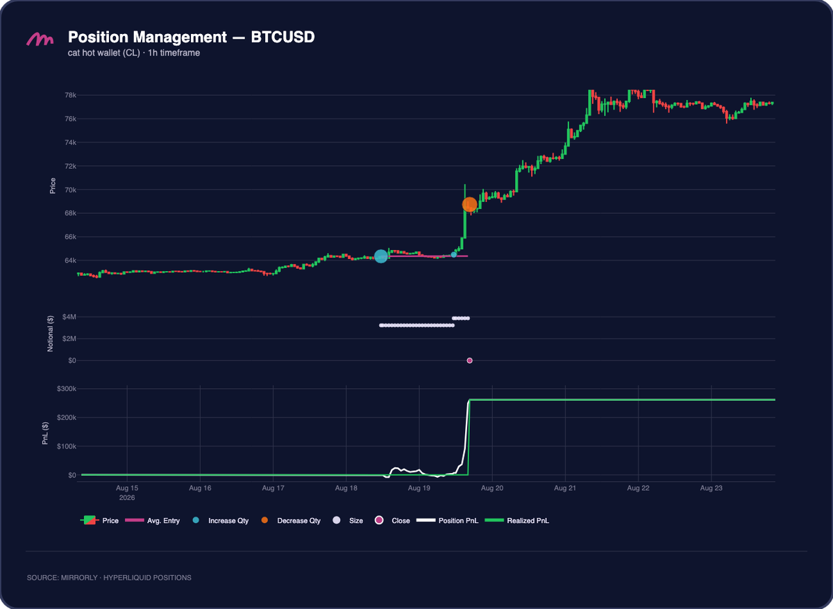 cat hot wallet (CL) BTCUSD Position Management