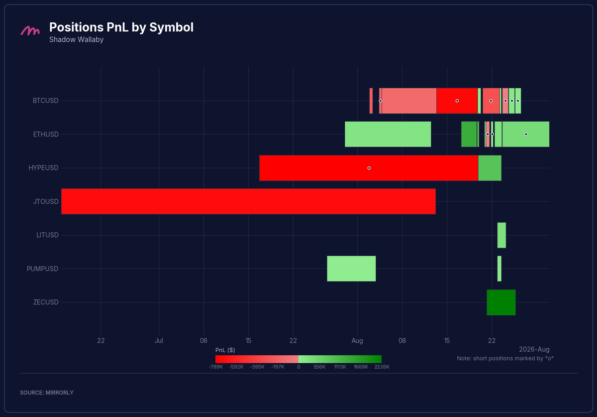 Shadow Wallaby Positions PnL by Symbol