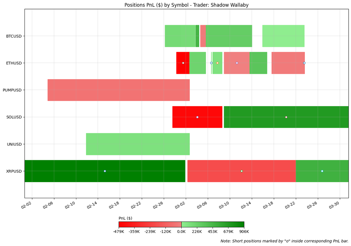 Shadow Wallaby Positions PnL by Symbol