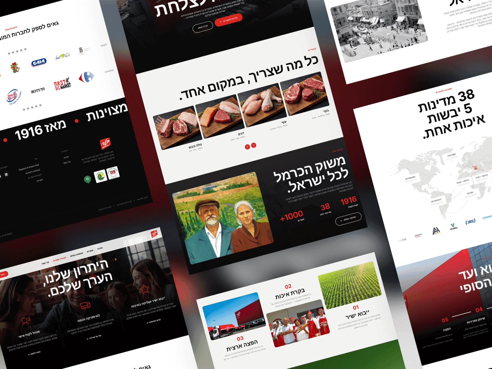 Baladi website pages: product categories, the Carmel Market story, 38 import countries and partner logos