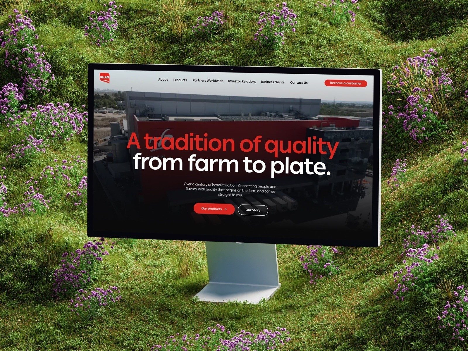 Baladi's English homepage on a studio display: A tradition of quality from farm to plate