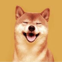 Shiba Inu Logo Telegram