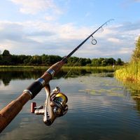 EndlessFishingBot Telegram Logo