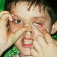 VPN ТВОЙ БРАТ Logo Telegram