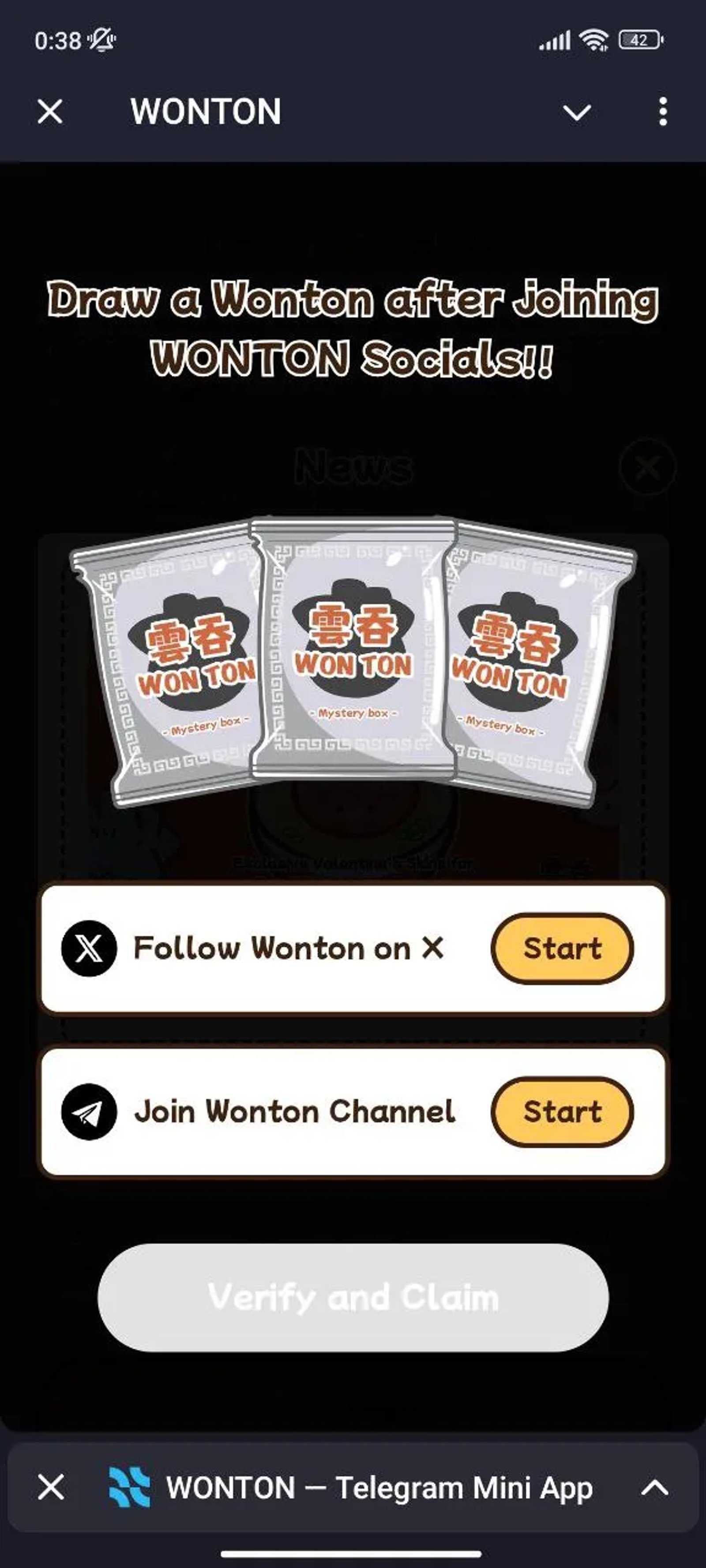 WONTON Выбор