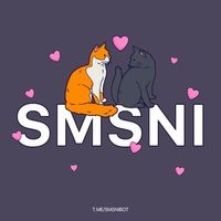 smsnibot Telegram Logo smsnibot Telegram Logo