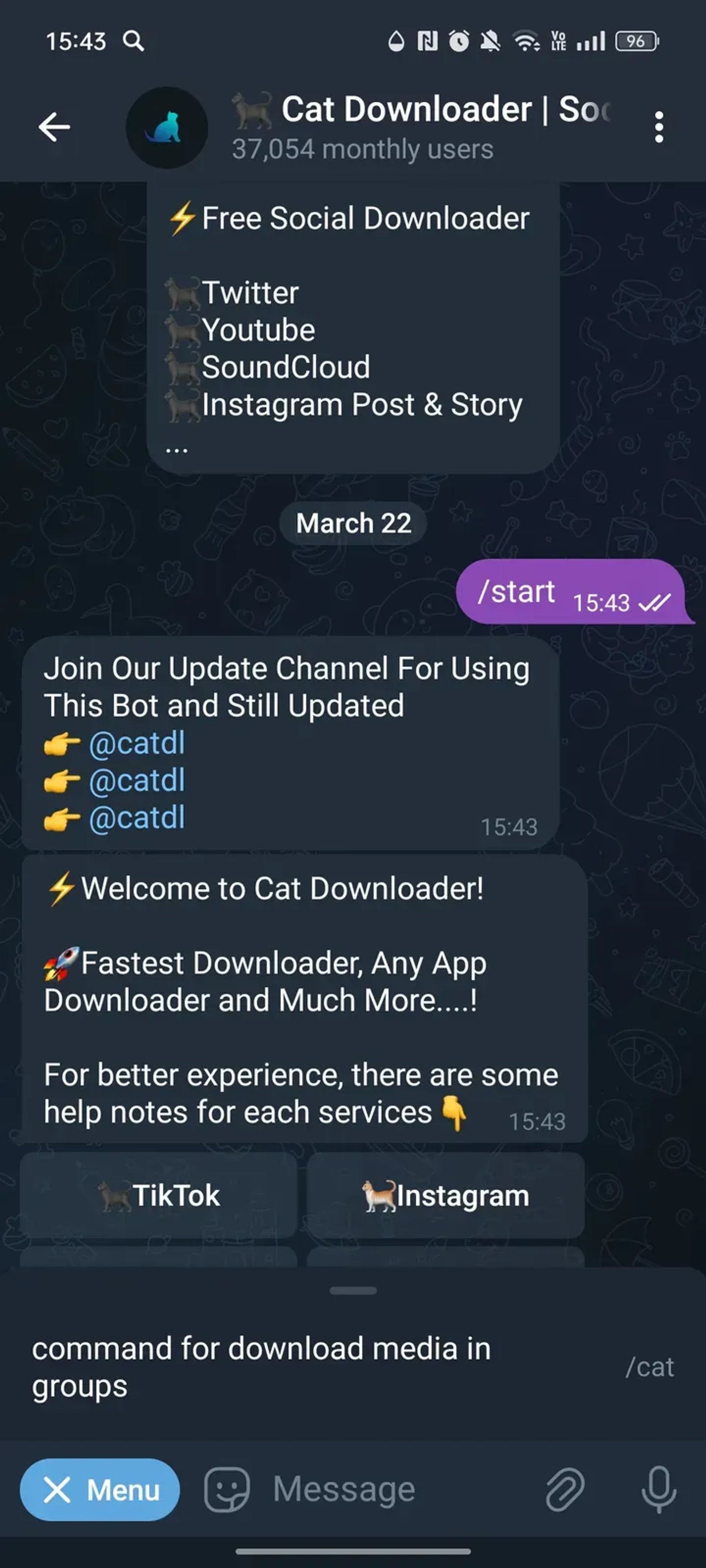 🐈‍⬛️ Cat Downloader | Social Medias & Websites Downloader в Телеграм — скриншот 2