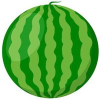 Watermelon🍉 Logo Telegram