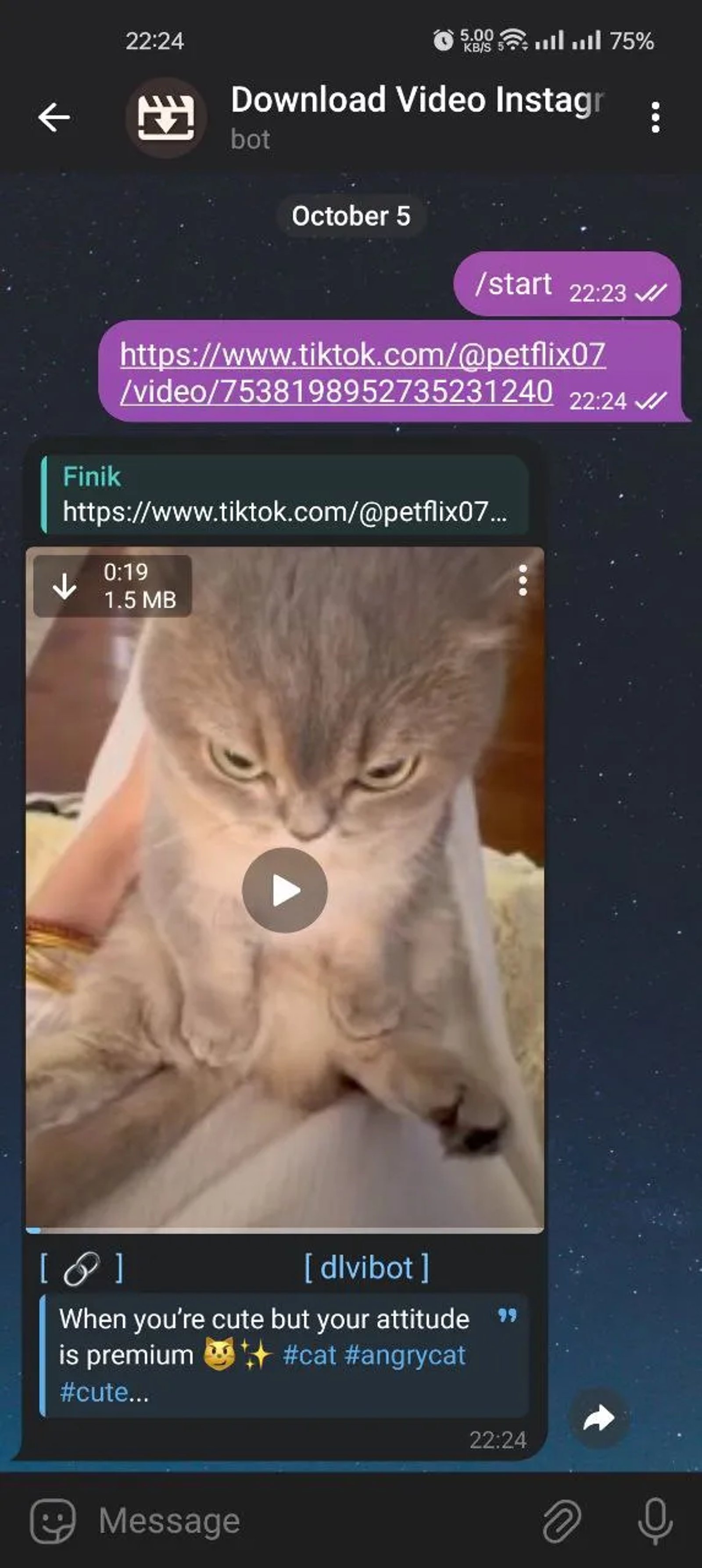 Download Video Instagram TikTok Facebook Youtube X Reddit Vimeo Telegram Screenshot 2