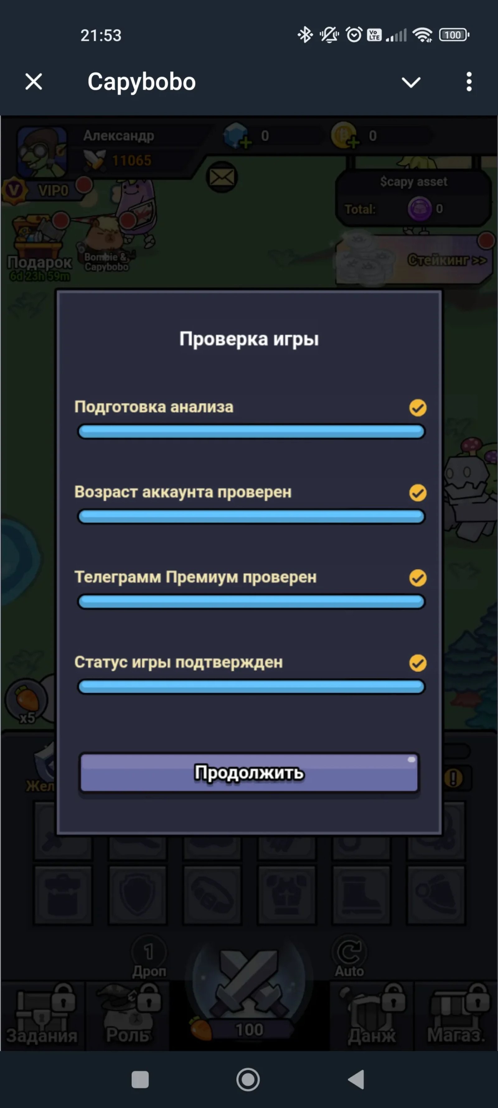 CapyBomb Проверка