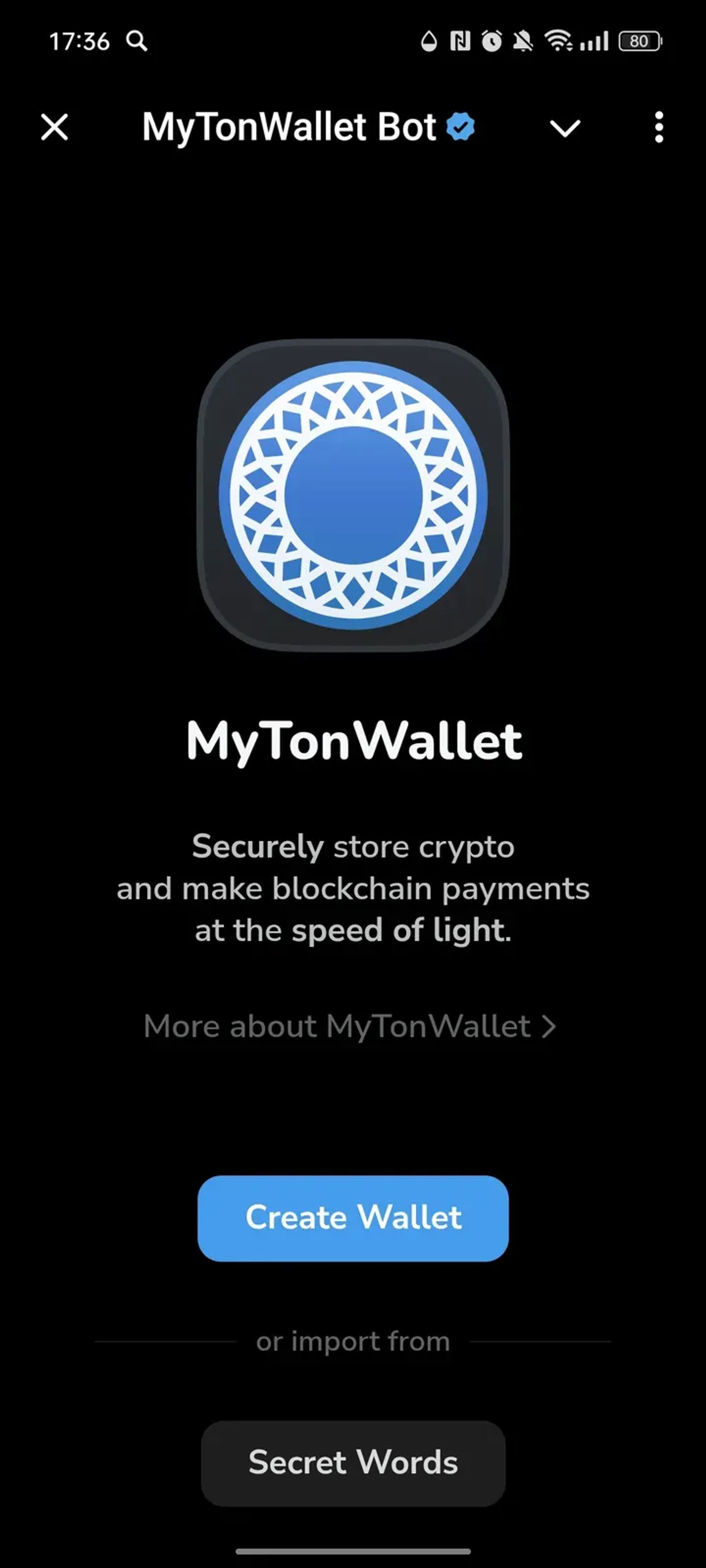 MyTonWallet App в Телеграм — скриншот 1