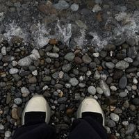 maxpproduct Telegram Logo