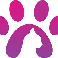 PawsCombat tApp Game Logo Telegram