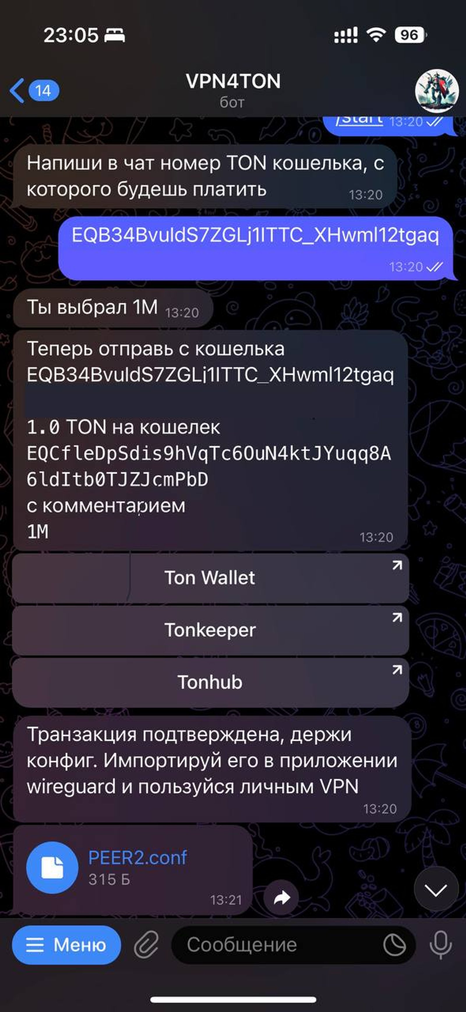 VPN4TON в Телеграм — скриншот 3
