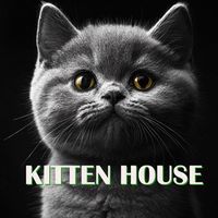 Kitten House Crypto Logo Telegram