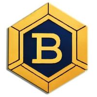 Bitbock coin Logo Telegram