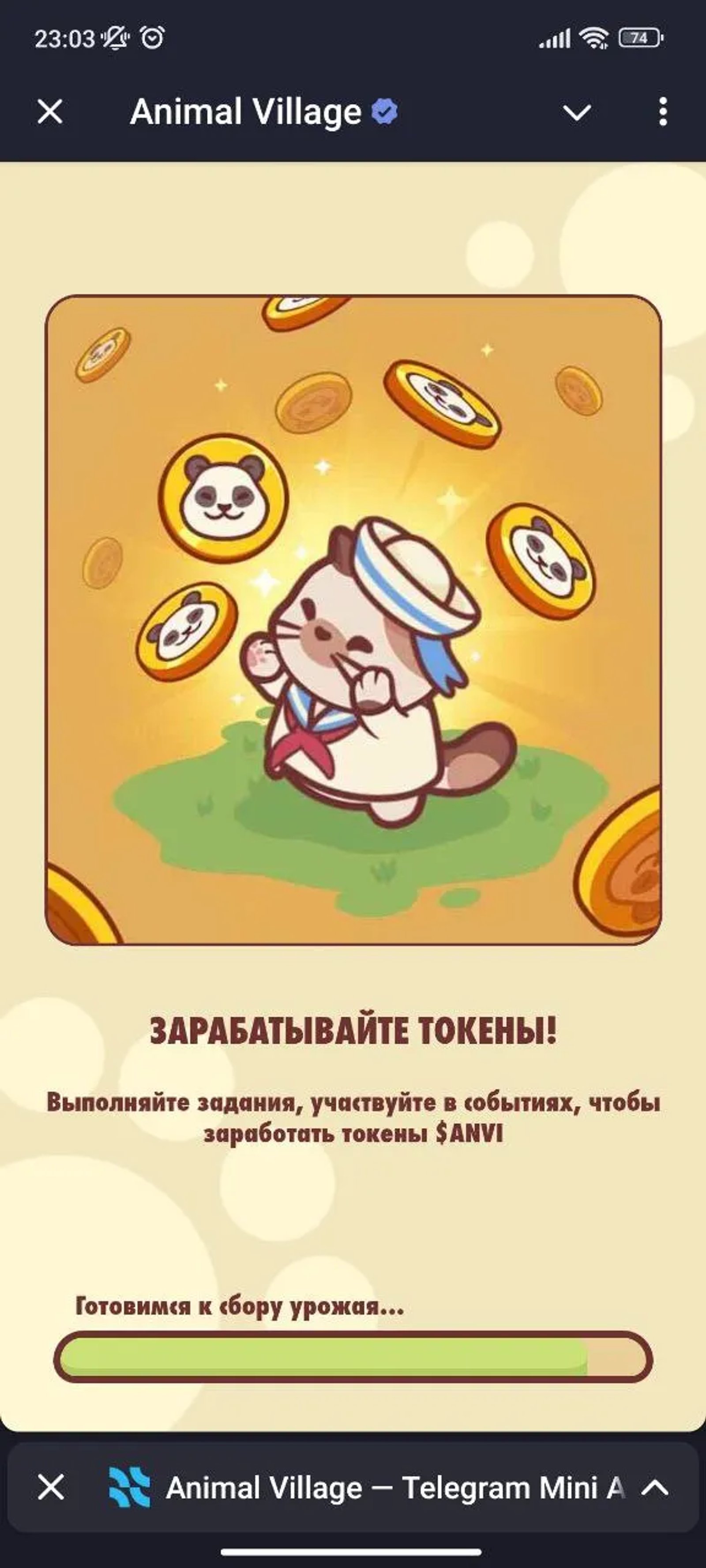 Animal Village Вход