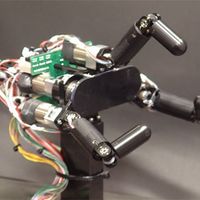 Lols Anti Spam Telegram Logo Lols Anti Spam Telegram Logo