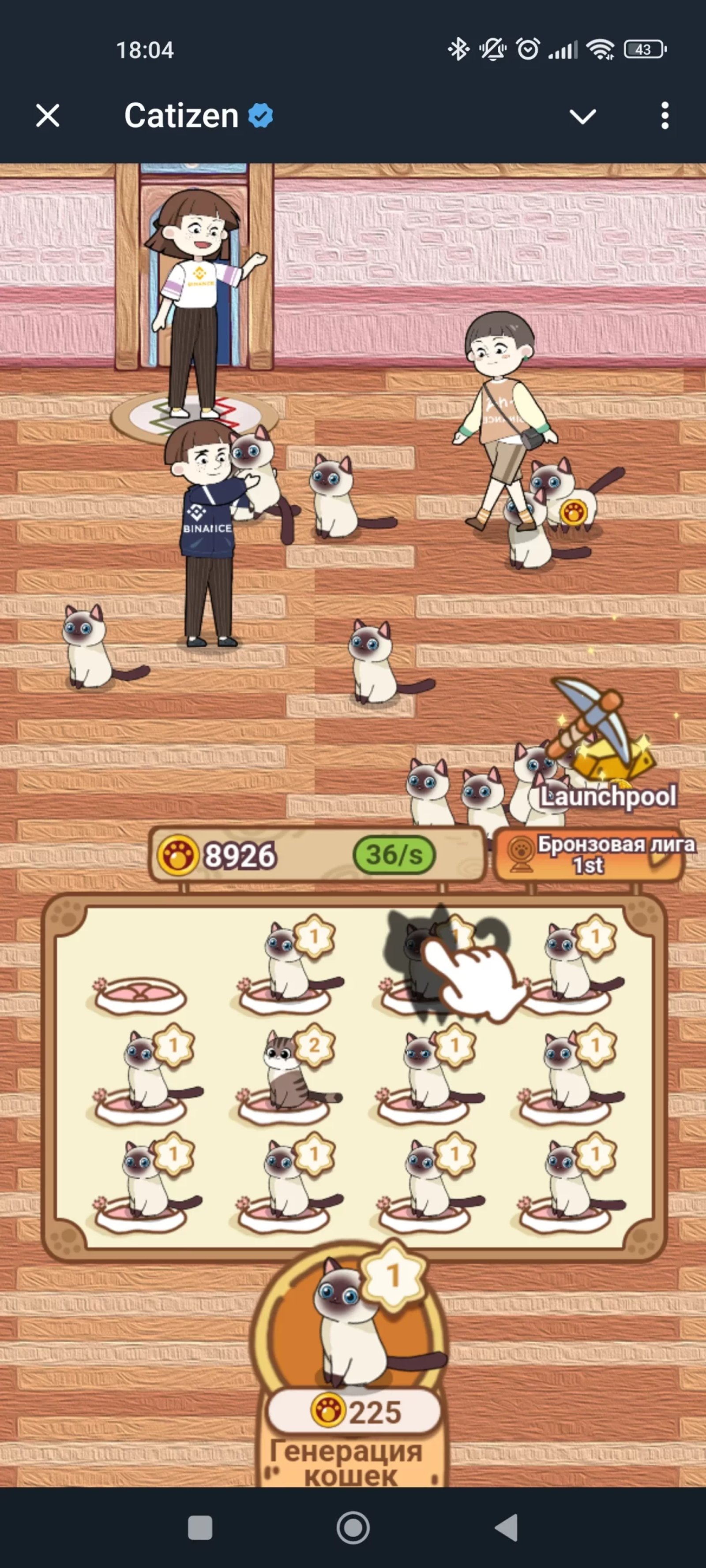 Catizen Коты