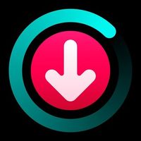 Скачать видео с TikTok, Instagram и Likee Logo Telegram