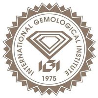 IGI Logo Telegram