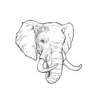 TgDump Bot Logo Telegram