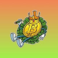 Bitcoinerr Telegram Logo