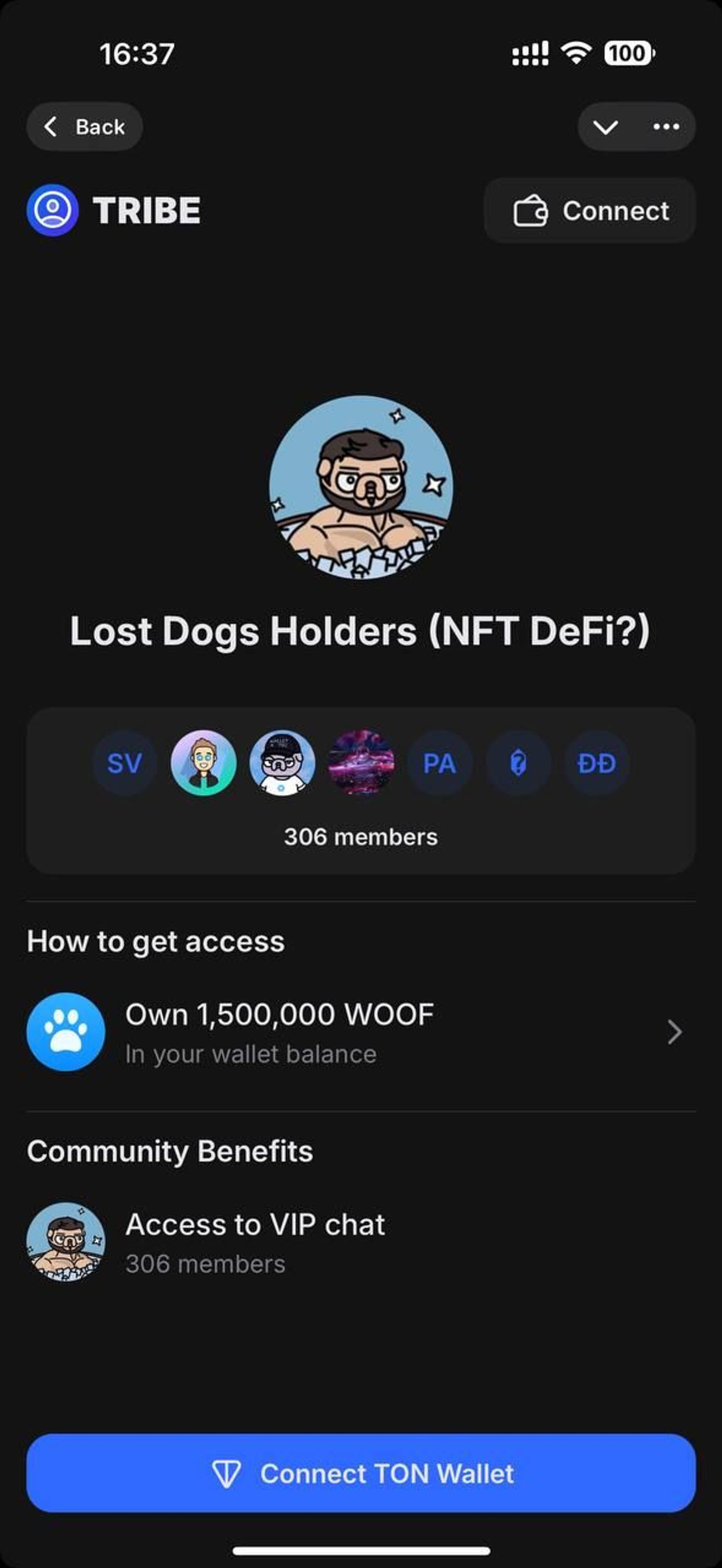 Tribe Telegram Screenshot 2