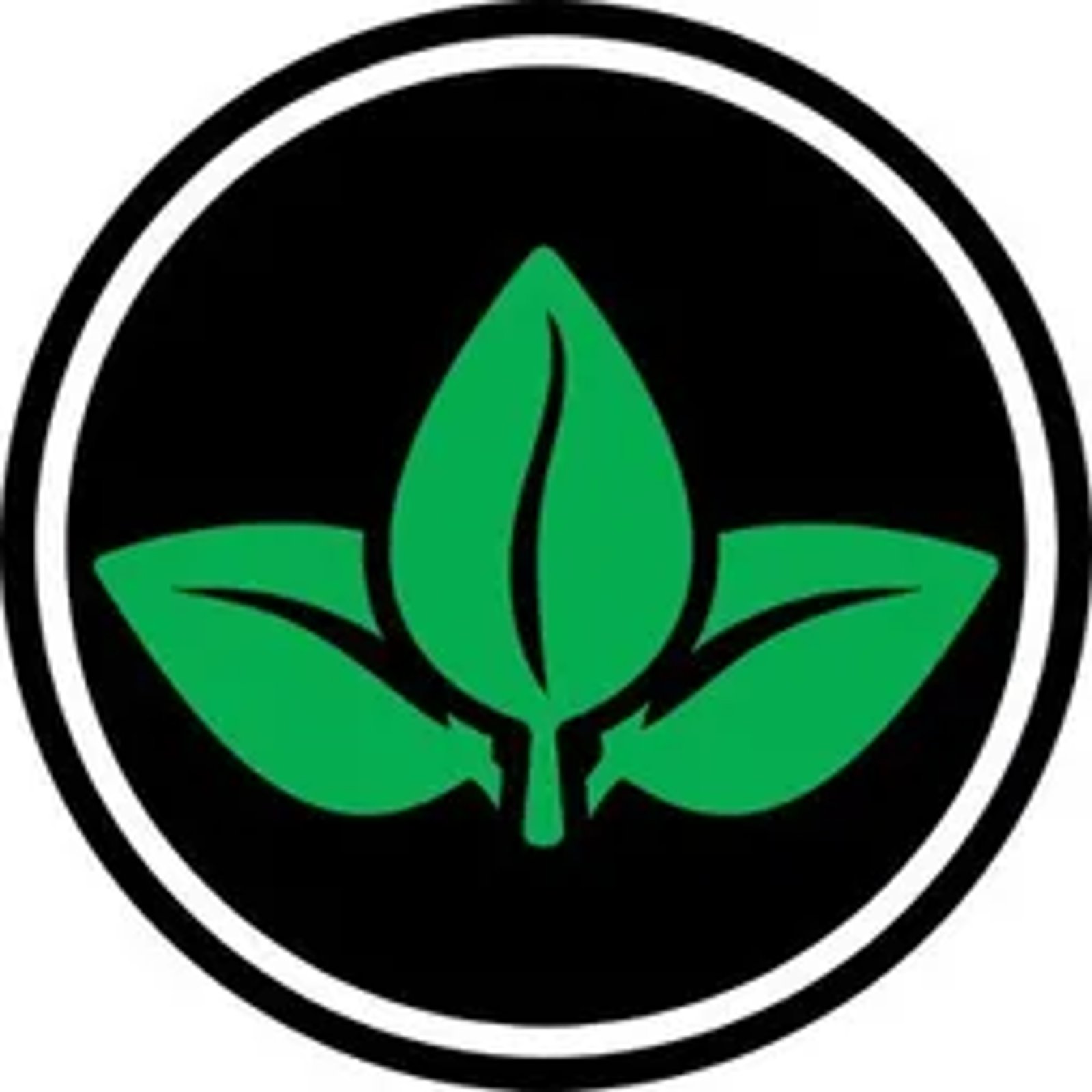 Plant Identifier Bot 🌵 Telegram Screenshot 1