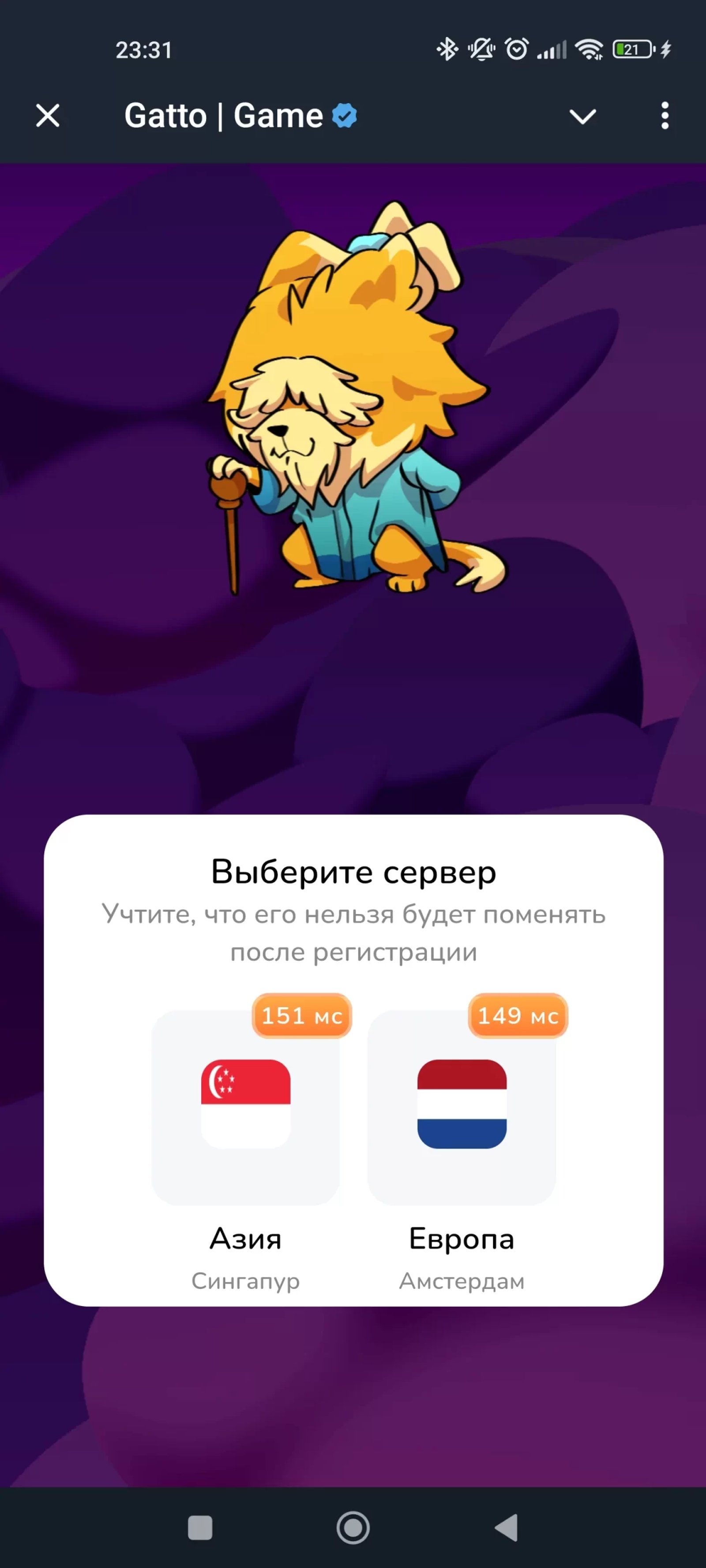 Gatto Сервер