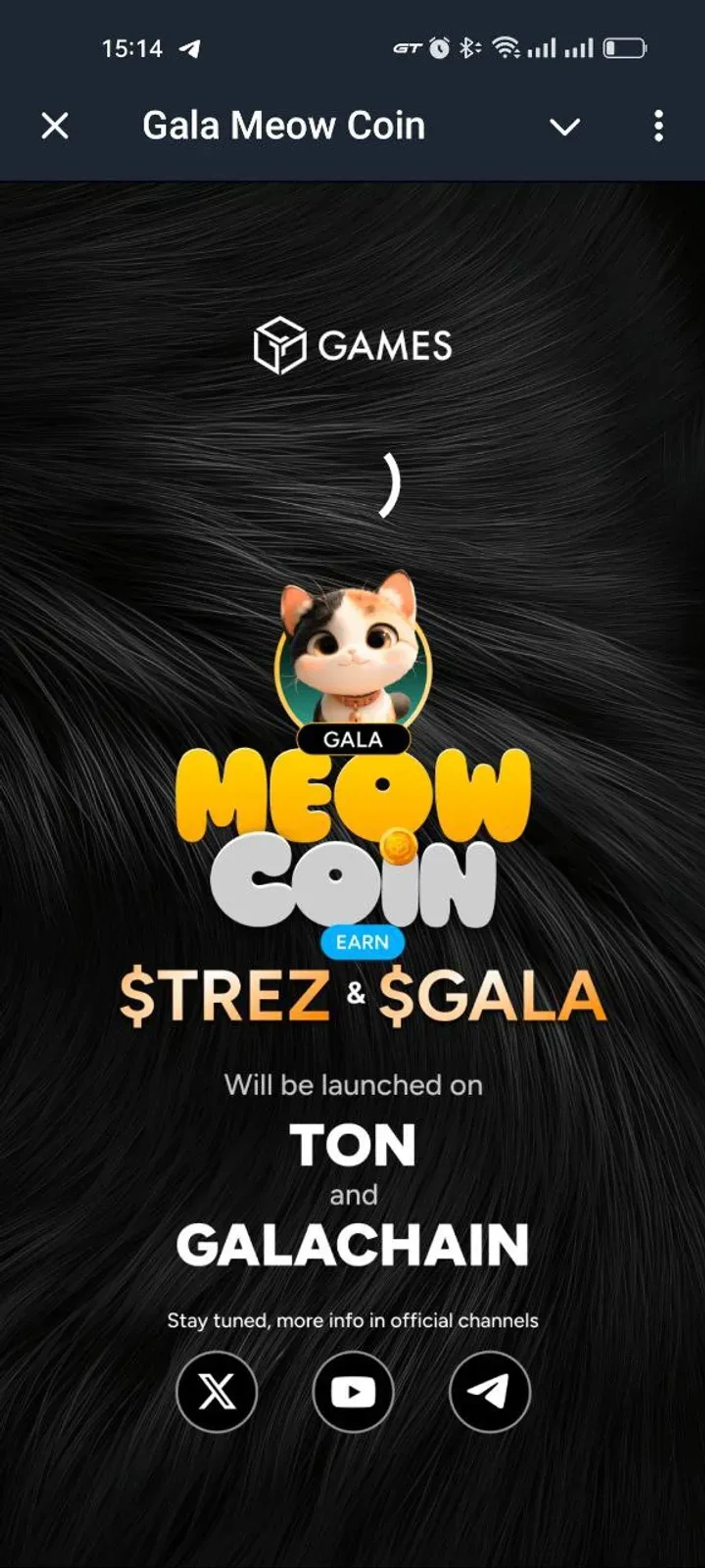 Gala Meow Coin в Телеграм — скриншот 1