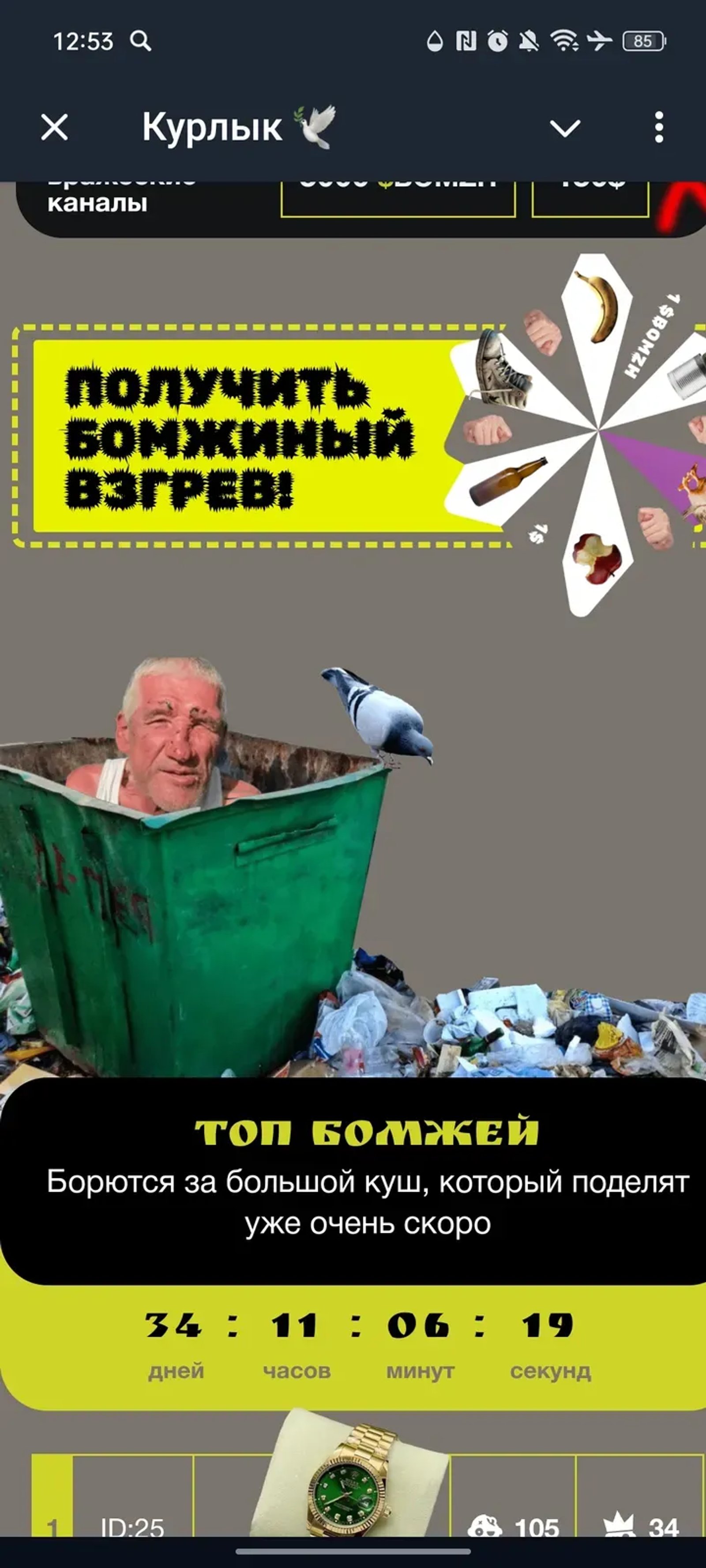 Курлык 🕊️ в Телеграм — скриншот 4