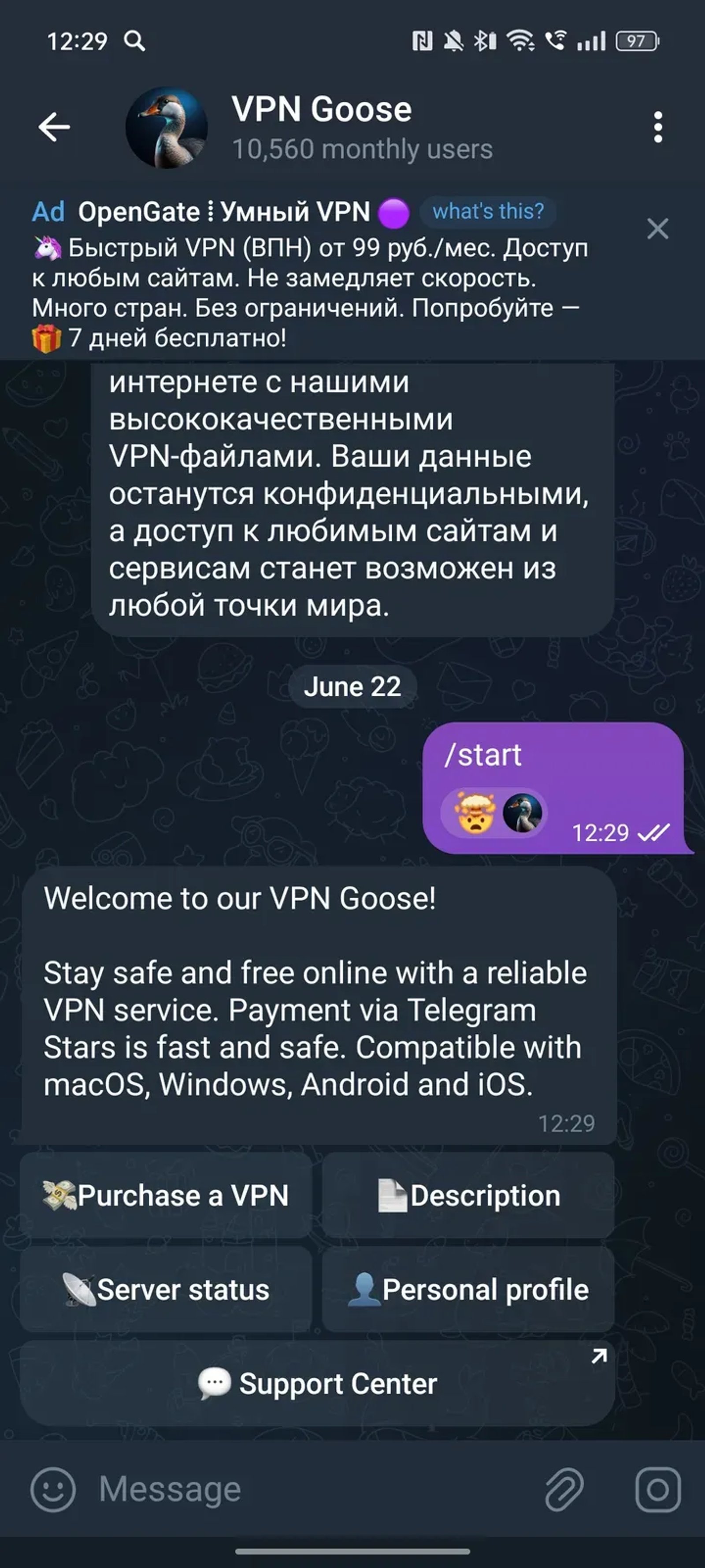 VPN Goose в Телеграм — скриншот 4