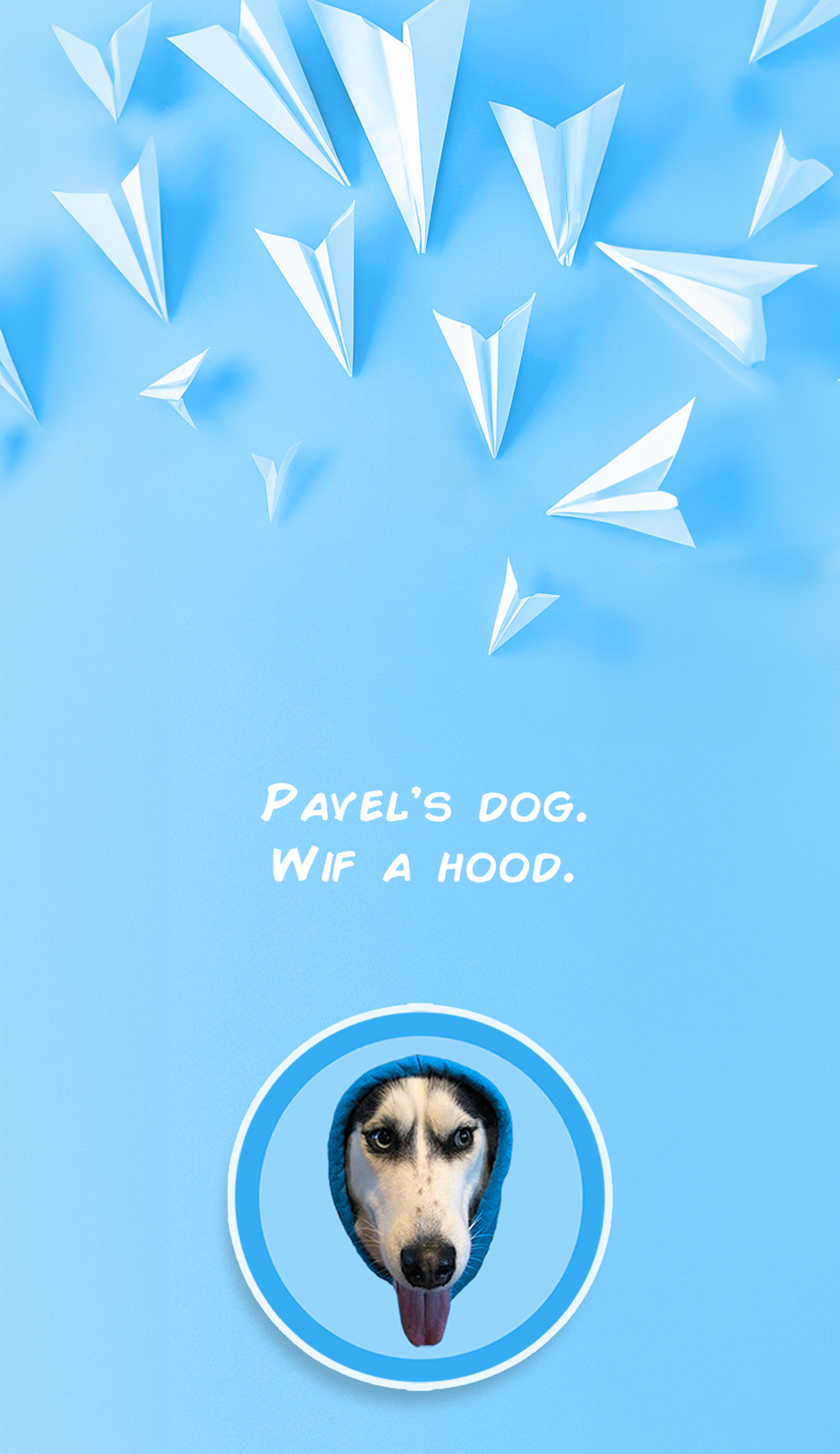 DOGWIFHOOD в Телеграм — скриншот 2