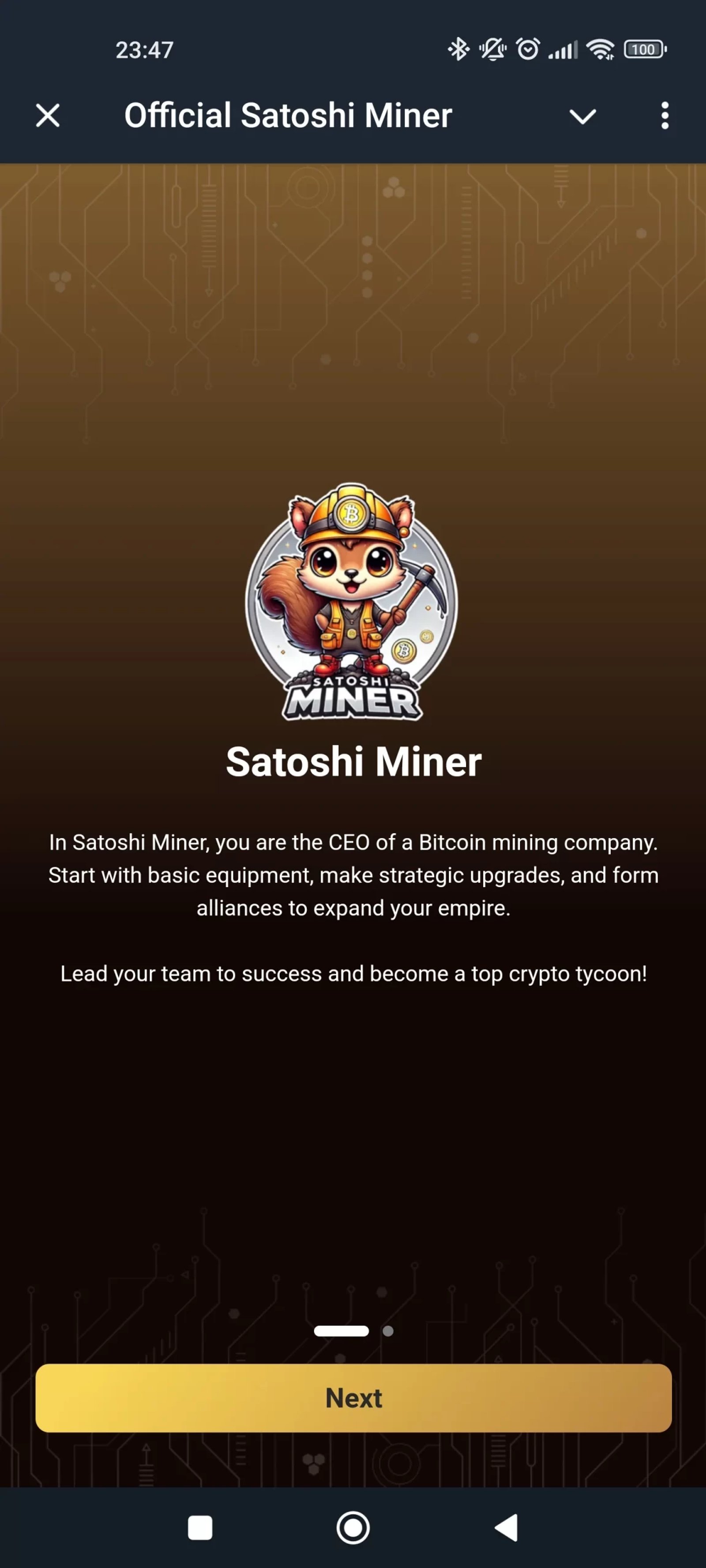 Satoshi Miner Описание