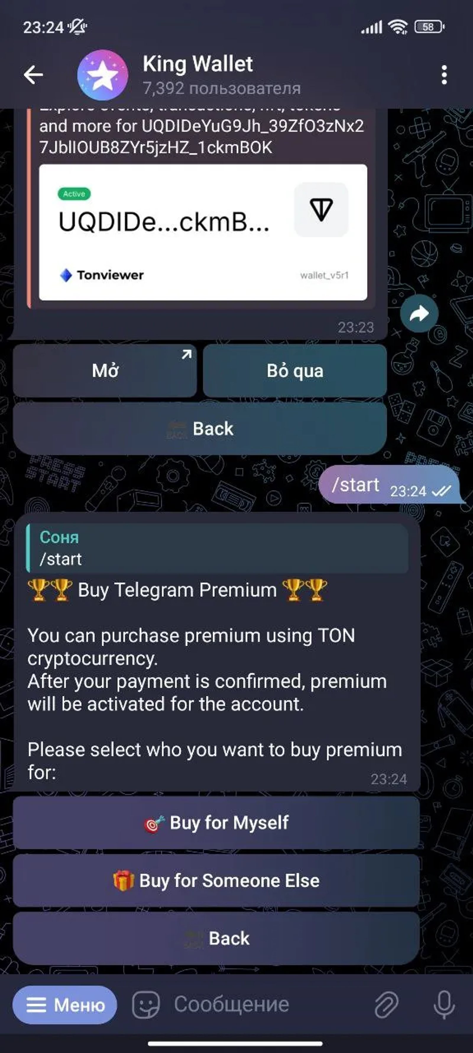 King Wallet Telegram Screenshot 2