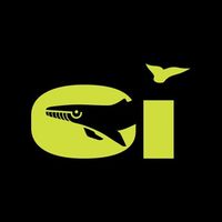 CryptoInfluencer Logo Telegram CryptoInfluencer Logo Telegram