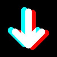 No Watermark TikTok Downloader Logo Telegram