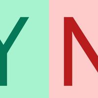 Ask Yes or No Logo Telegram