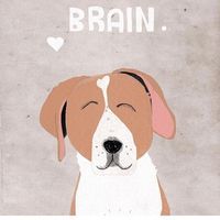 Dog’n’fox Telegram Logo