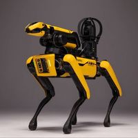 Boston Dynamics Logo Telegram