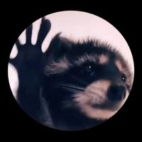 Раскрути енота 🦡 Logo Telegram