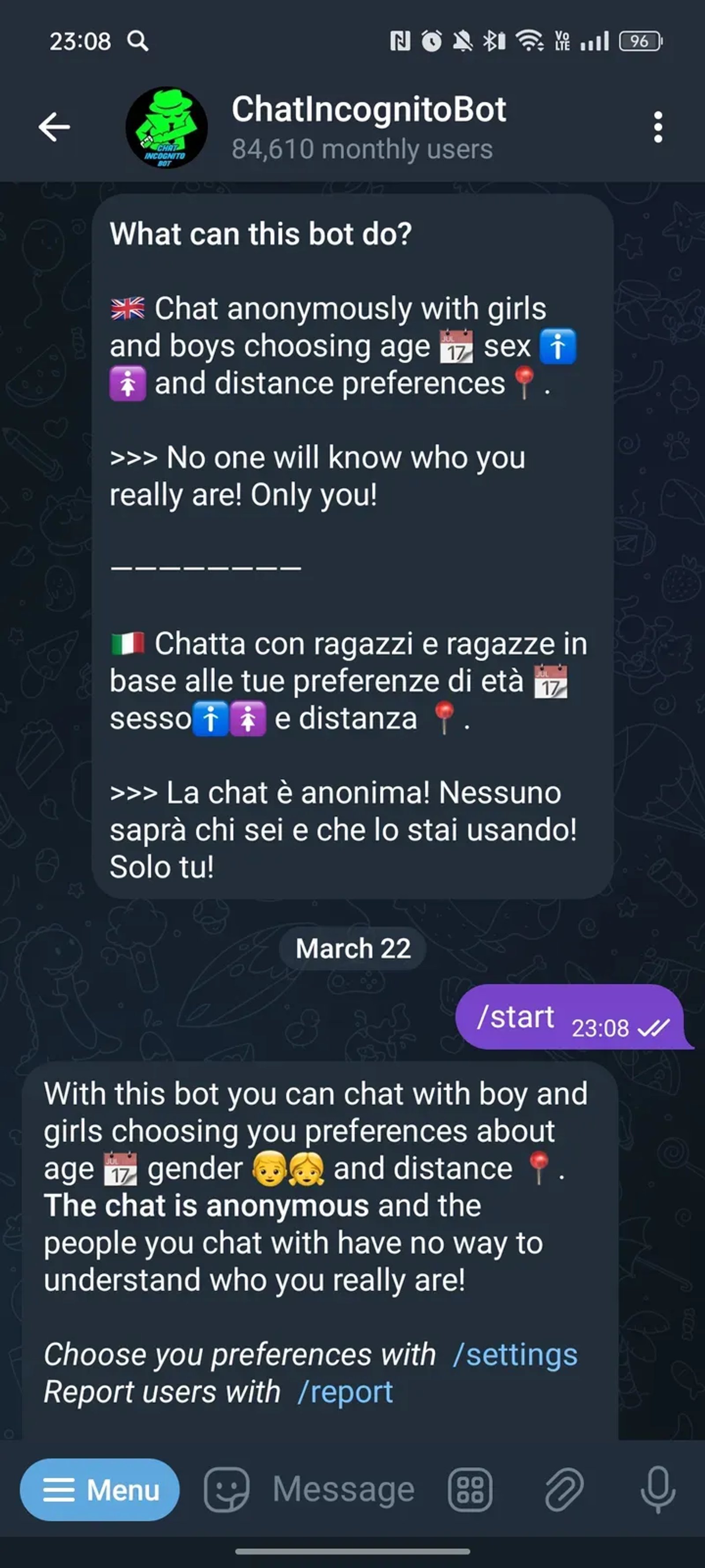 ChatIncognitoBot в Телеграм — скриншот 1