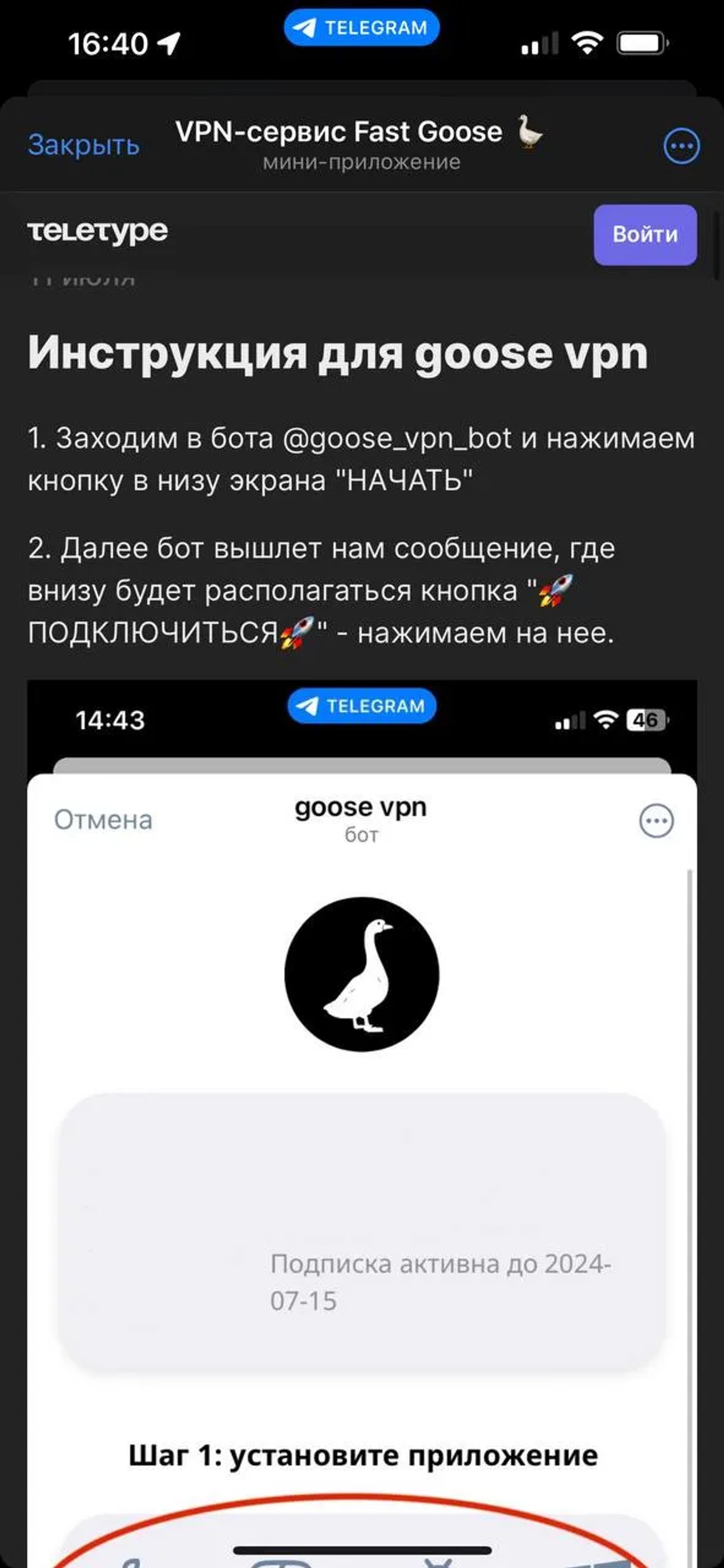 VPN-сервис Fast Goose 🪿 в Телеграм — скриншот 2