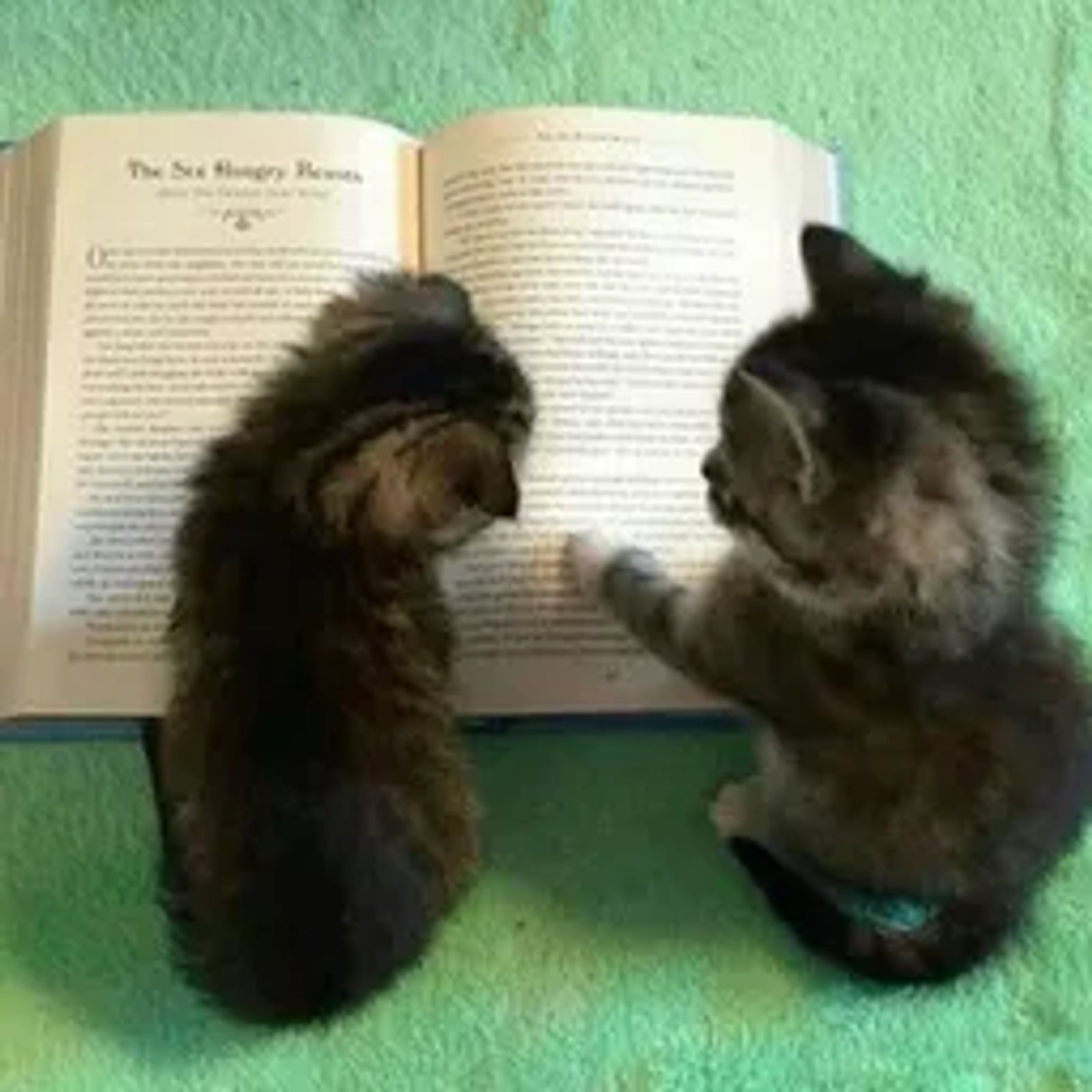 Dead Helper Telegram Screenshot 1