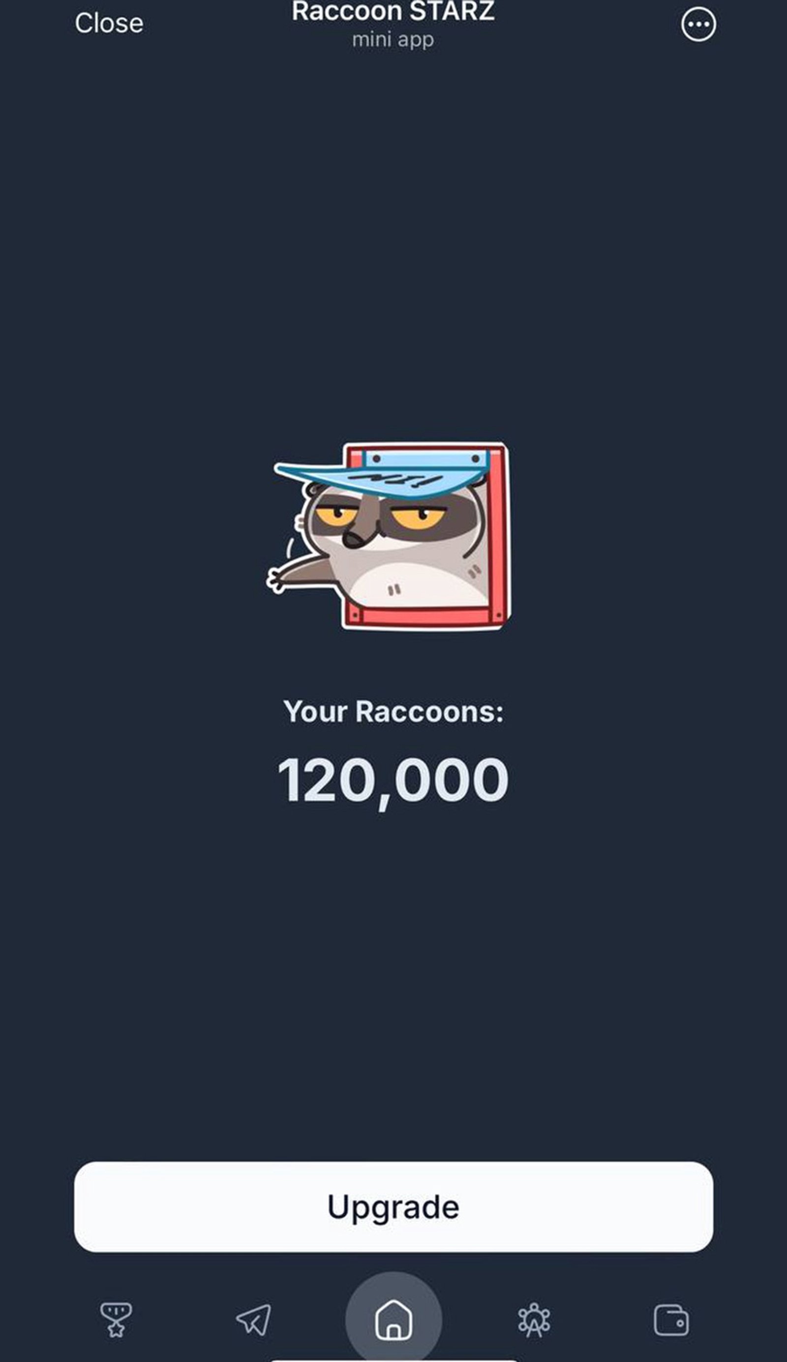Raccoon STARZ в Телеграм — скриншот 1