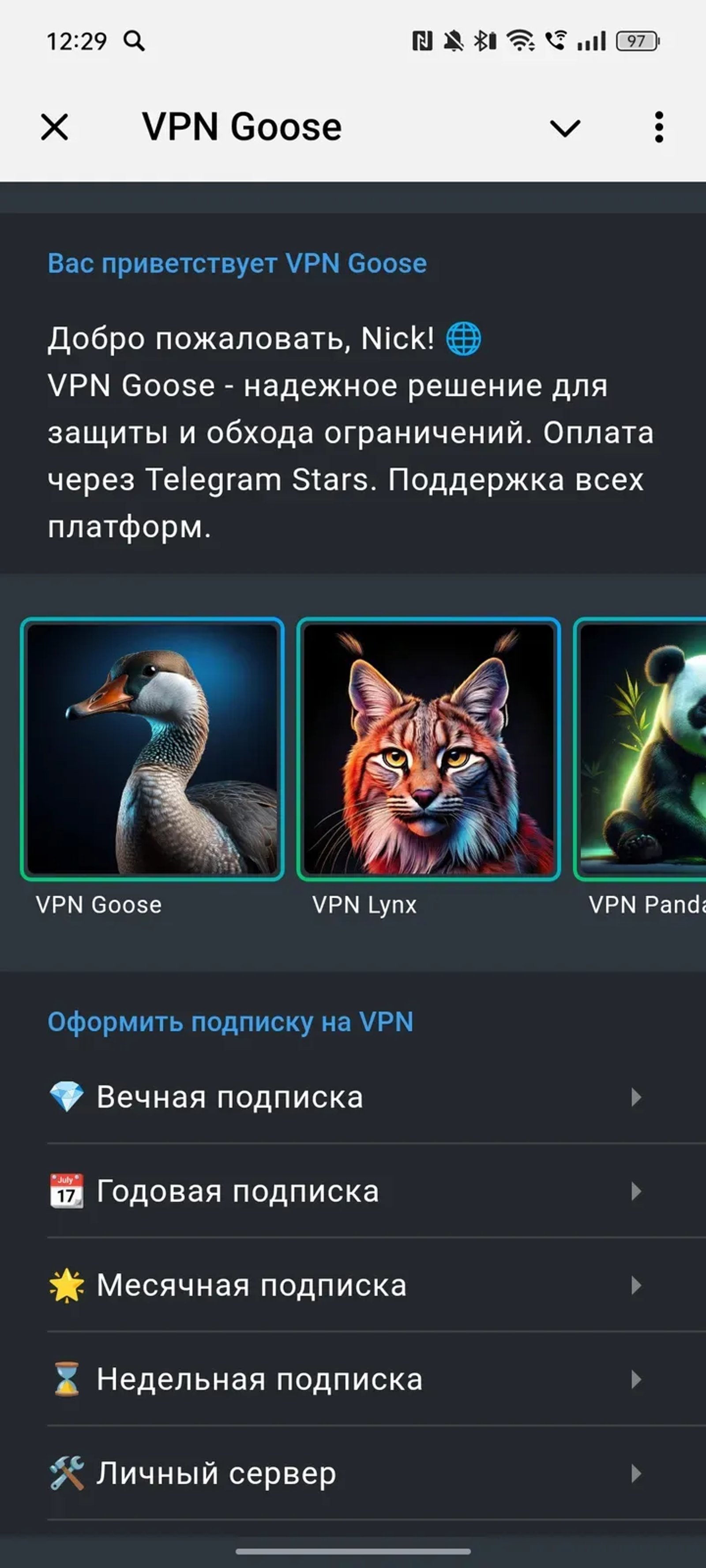VPN Goose в Телеграм — скриншот 1