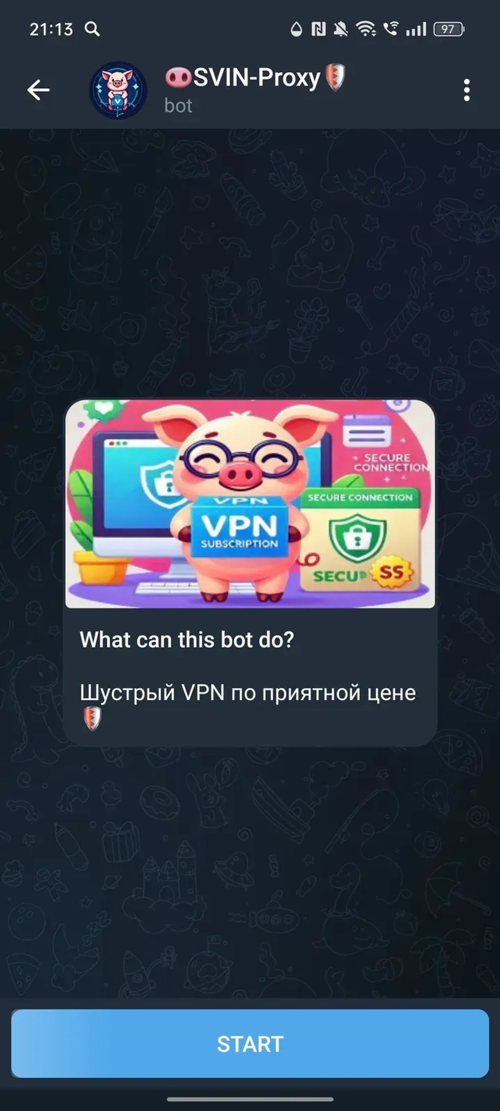 🐽SVIN-Proxy🛡️ в Телеграм — скриншот 1